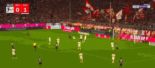 1-1帕夫洛维奇.gif
